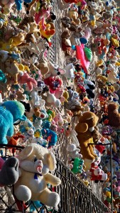 Peluches Art installation by Caterina Borghi